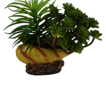 Decoração para aquário - Búzio com planta