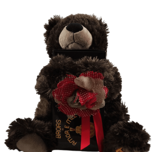 Peluche Urso com Broas de Amor e Mel