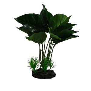 Planta Decorativa - Planta Folhas