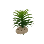 Planta Decorativa Aquário 10 cm - Verde