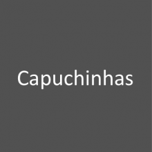 Capuchinhas